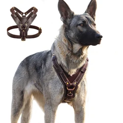 Arnés de cuero para perros grandes – Chaleco cómodo para paseo y entrenamiento