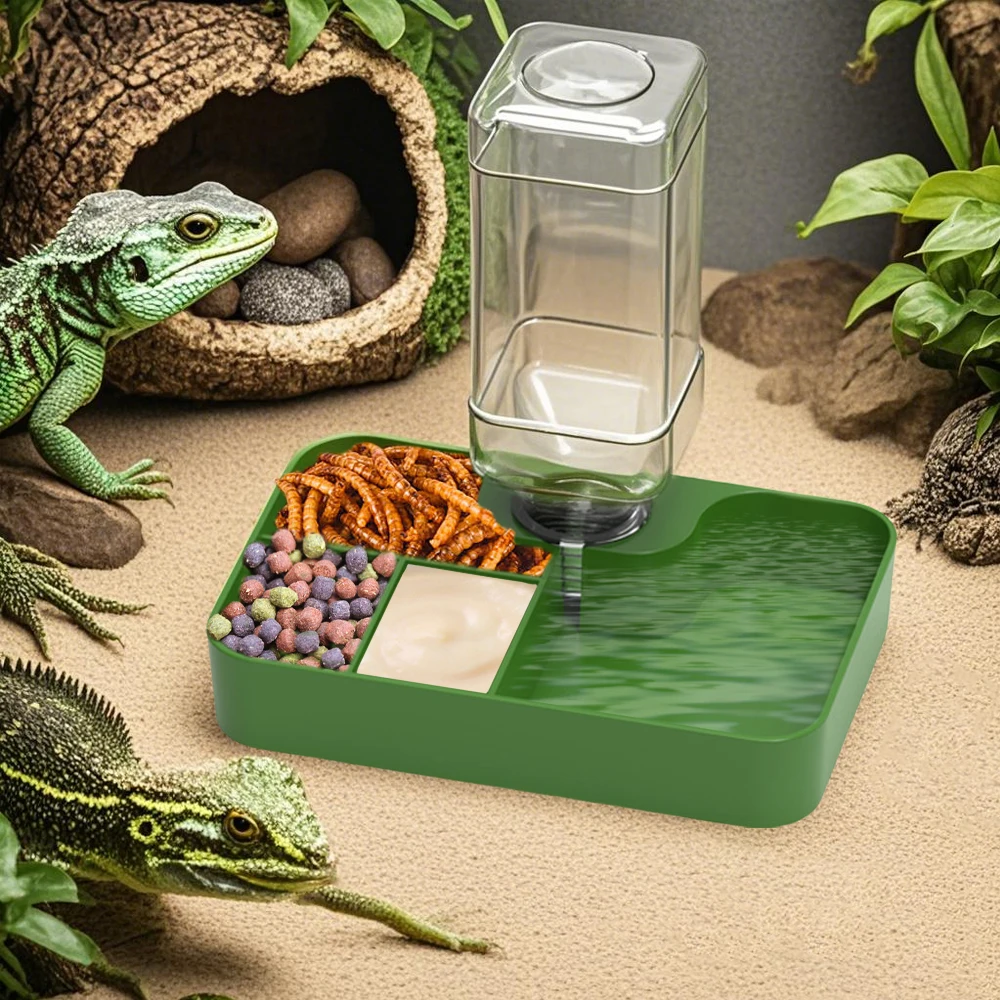 Alimentador automático para reptiles, cuenco de agua para lagarto, plato esquinero con botella de agua para animales pequeños, mascotas, tortuga, león gestionado, Gecko, lagarto, 1 ud.