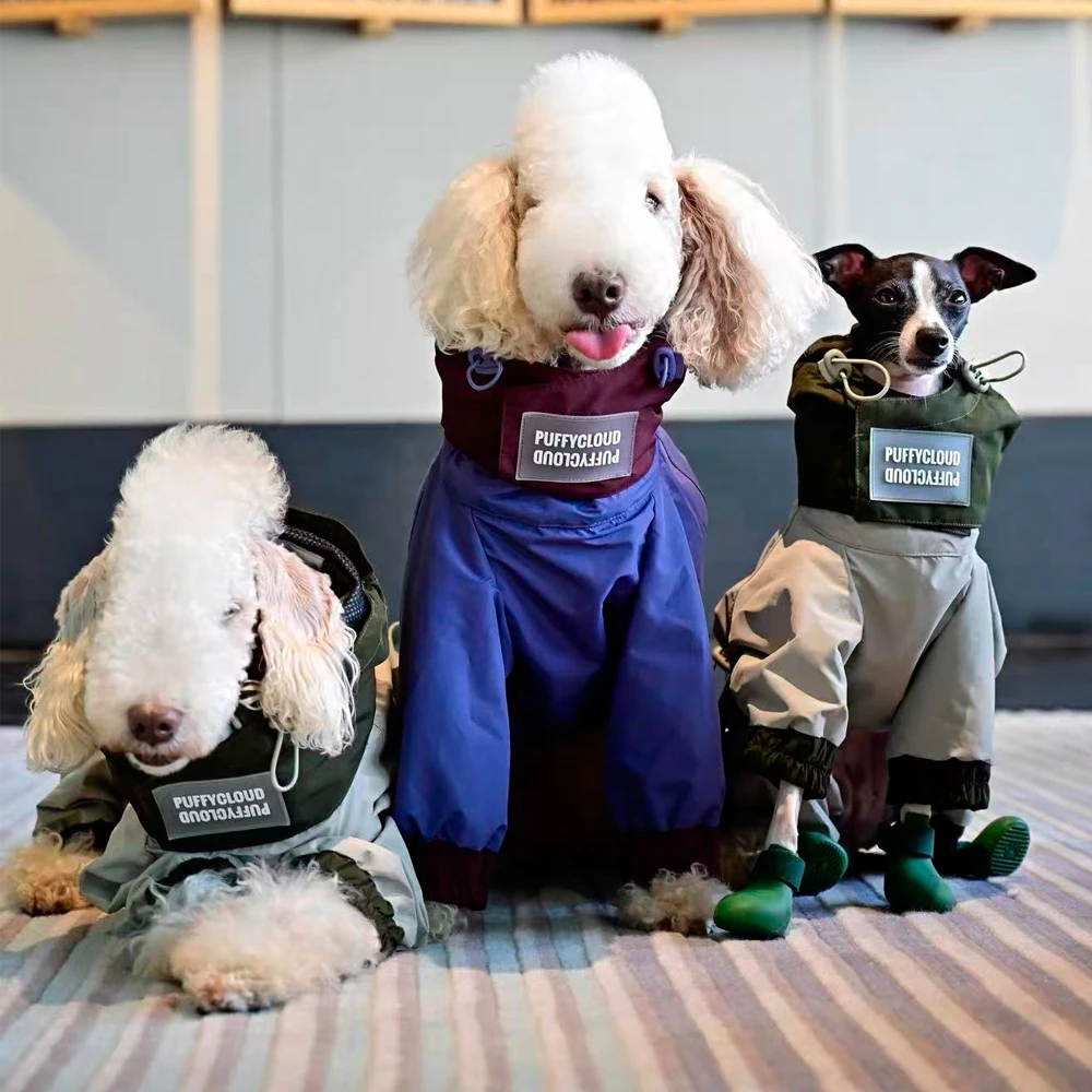 Chaqueta impermeable para perros Italian Greyhound y Bedlington - imagen 2