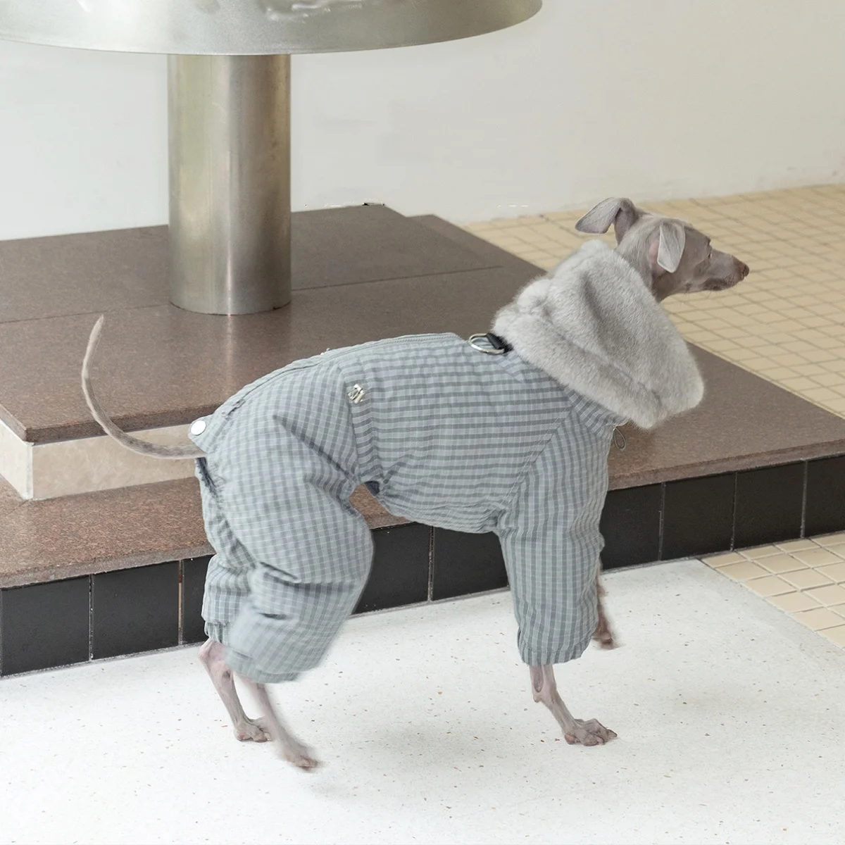 Abrigo grueso de cuadros para perros medianos en invierno, impermeable y a prueba de viento, colores gris, negro y beige, cálido, con cuello de piel de visón de 4 patas, chaqueta acolchada para Galgo Italiano - imagen 5