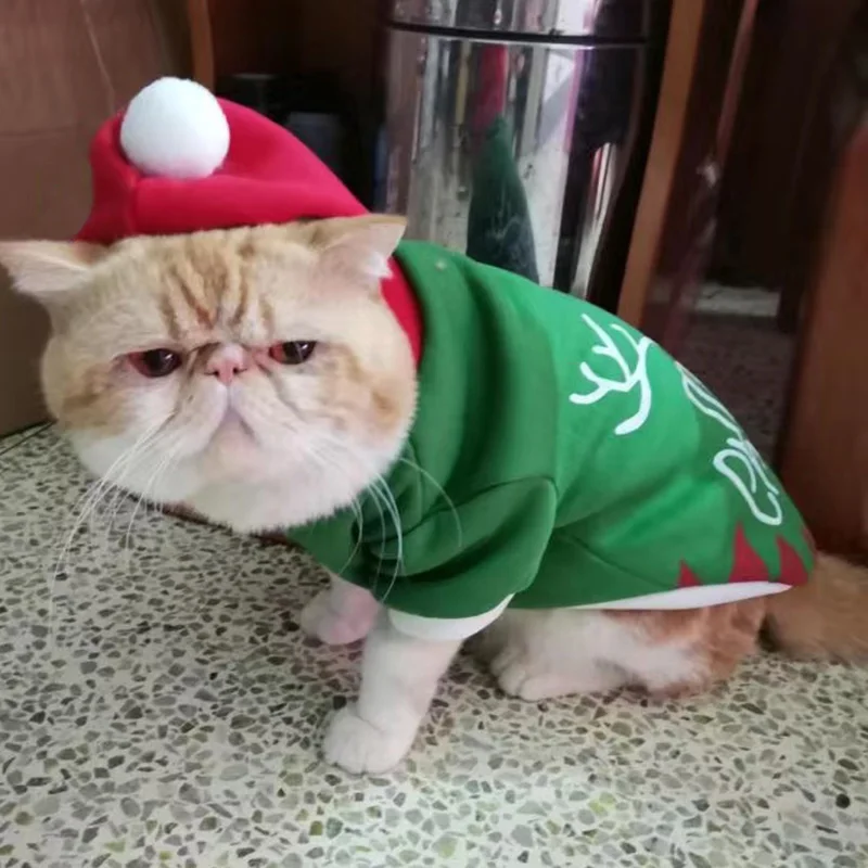 Suéter con capucha de gato Sphynx de Navidad, disfraz cálido de invierno para mascotas, ropa para gatos Gotas Katten Garfield, sudadera, ropa para mascotas - imagen 3