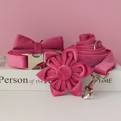 Collar para perros con correa suave y duradera para paseos diarios