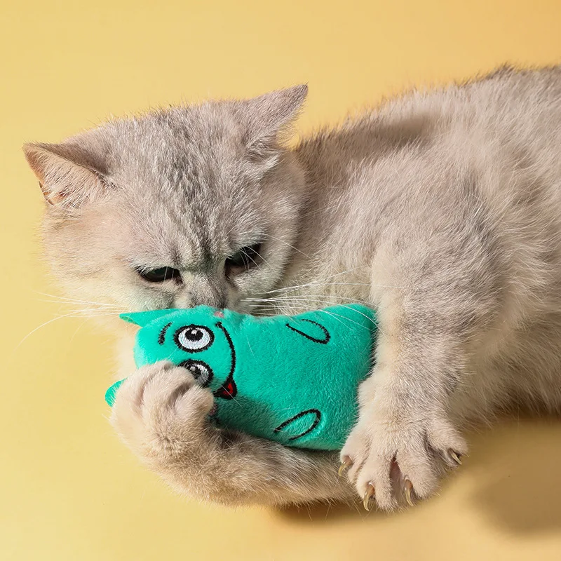 Gato jugando con juguete de felpa masticable