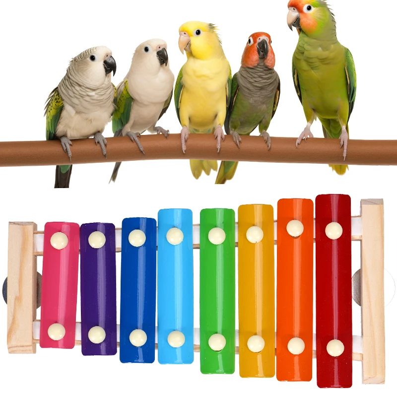 Juguete musical para mascotas, suministros de entrenamiento para pájaros, xilófono de pollo, accesorios de jaula para pájaros suspendibles de madera para loros, guacamayo y gallinas - imagen 3