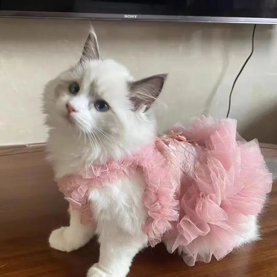 Ropa fina de primavera para mascotas, ropa de princesa de encaje con forma de corazón para mascotas, vestido para perros y gatos, falda con tirantes, ropa para cachorros
