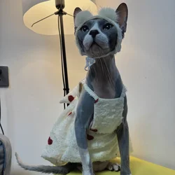 Jersey de algodón con lazo para Devon Rex – Ropa suave verano