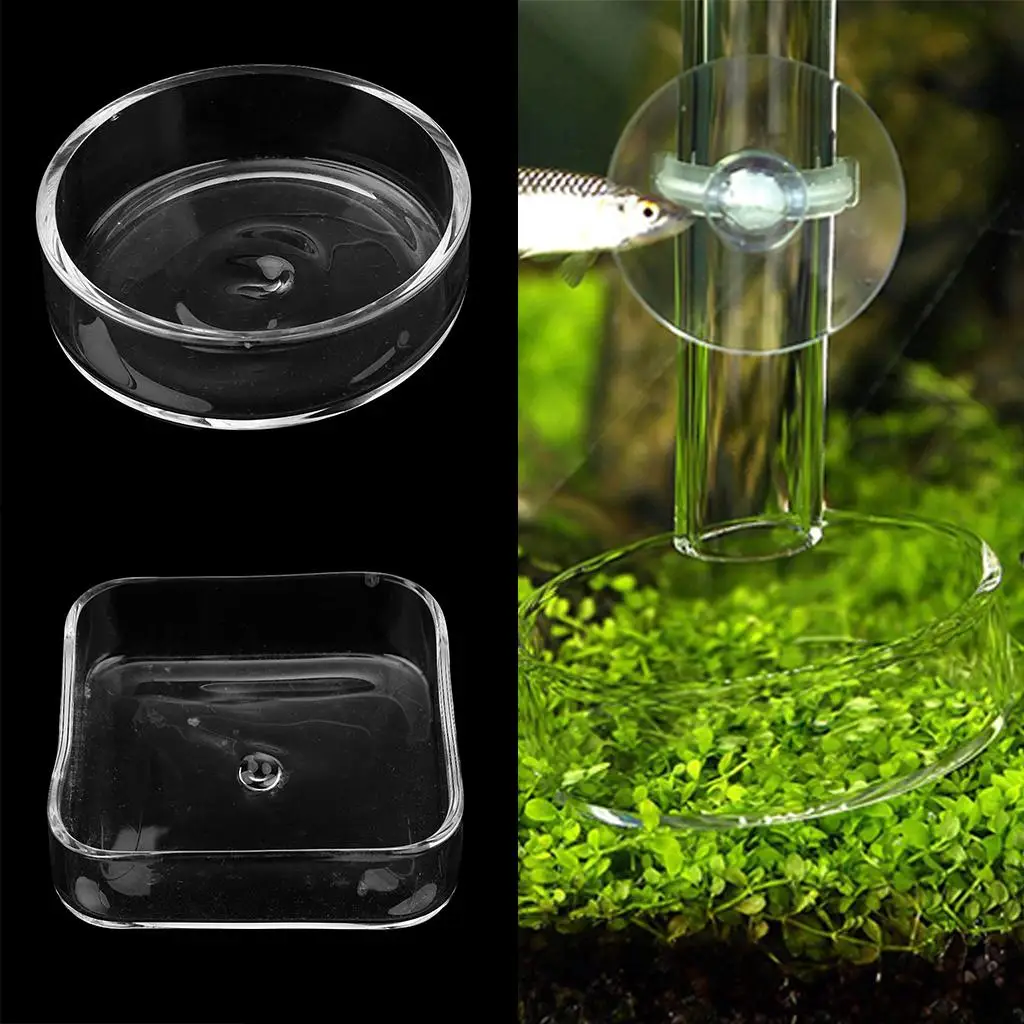 Comedero para gatos y perros en vidrio transparente – Plato para camarones - imagen 3