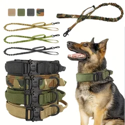 Collar y correa para perro – Resistentes, ajustables y cómodas