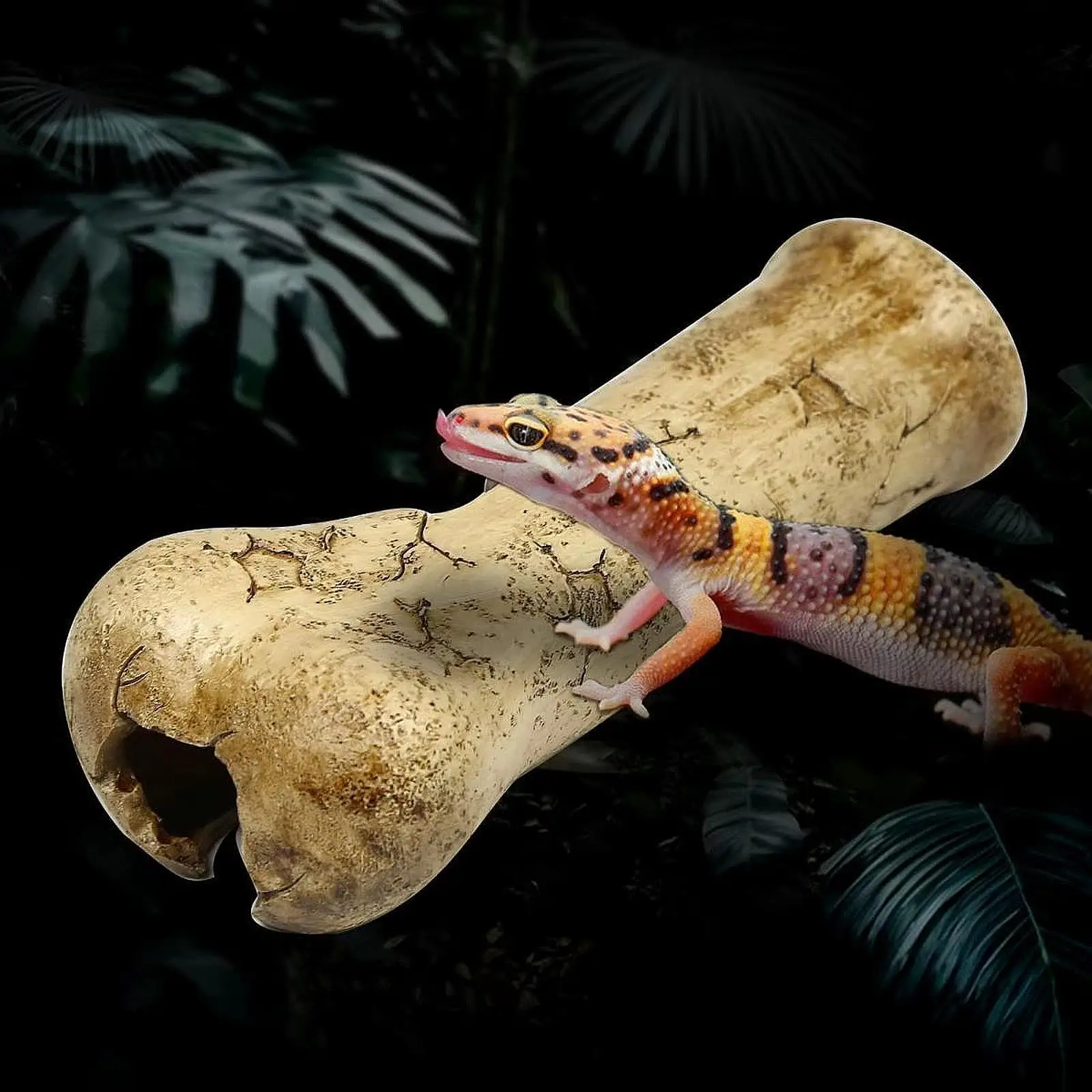 Reptile Rock Hide Cave Decorative Landscape Ornament for Fish Geckos Lizards