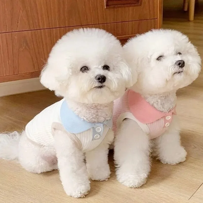 Ropa de verano para perros, camisa para cachorros, blusa, ropa para mascotas de primavera, camisas para perros y mascotas, suministros de ropa - imagen 2