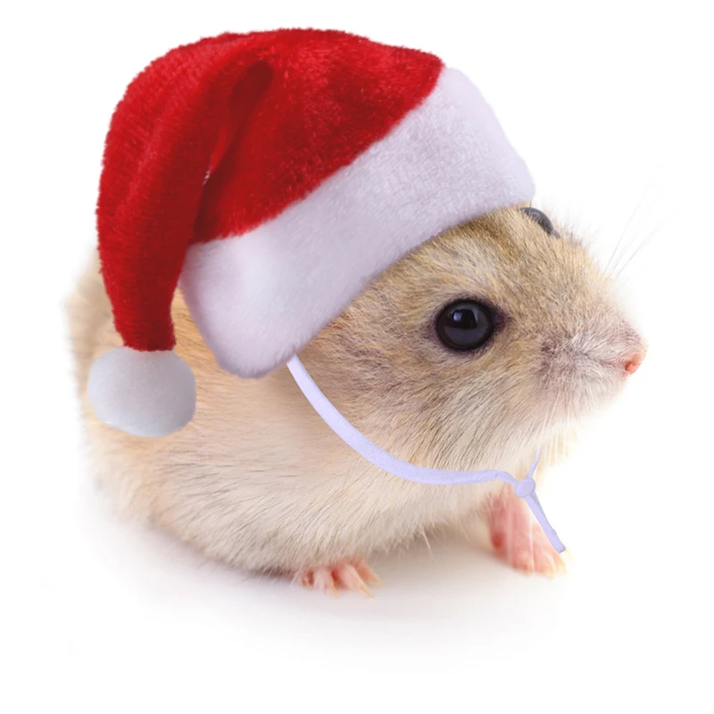 Sombreros de hámster de Navidad, Mini gorro de Papá Noel para muñecas, tocado para mascotas pequeñas, accesorios para la cabeza lindos para conejos, gatitos, animales pequeños - imagen 2