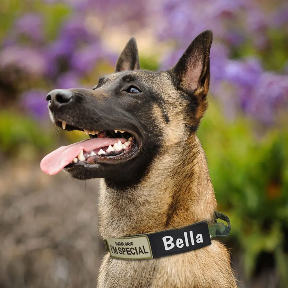 Collar de perro reflectante personalizado, Collar táctico militar de nailon para mascotas, collares de entrenamiento de mascotas personalizados para perros grandes, pastor alemán - imagen 5