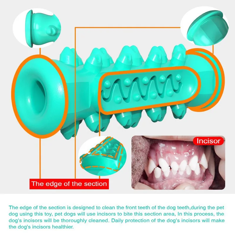 Cepillo de dientes Molar para perros, juguetes para masticar, limpieza de dientes segura, cuidado Dental para cachorros, limpieza suave para mascotas, suministros de juguete - imagen 2