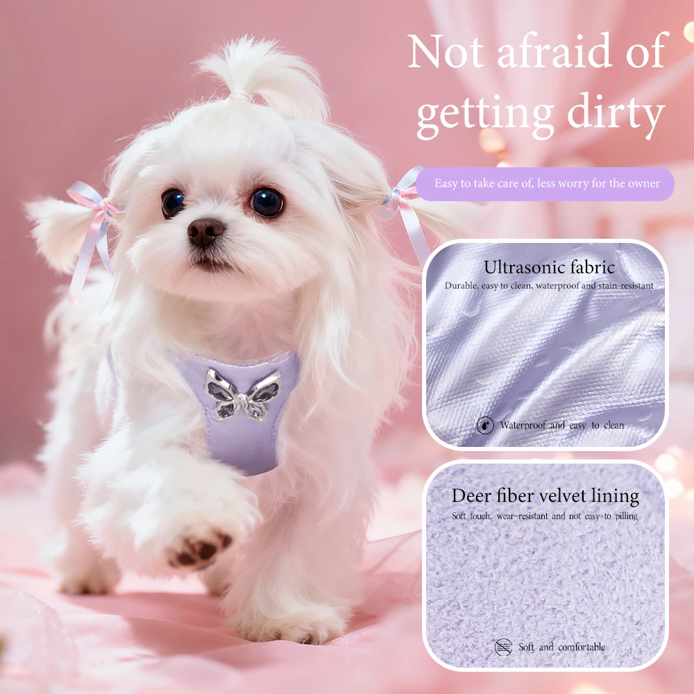 Conjunto de correa y arnés para perros a la moda, diseño de lazo de Metal, chaleco suave sin tirar para perros pequeños, equipo cómodo para caminar para mascotas - imagen 3