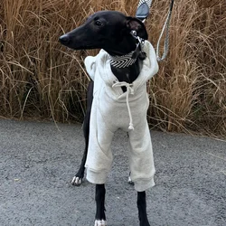 Sudadera con capucha manga larga gris para Galgo Italiano y Whippet