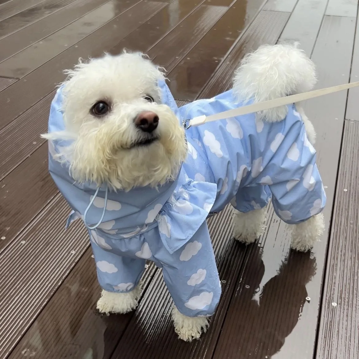 Chubasquero con capucha para perro Love, abrigo impermeable grueso de Tpu, abrigo de cuatro patas con capucha para cachorro, ropa para perro, ropa para lluvia todo incluido para