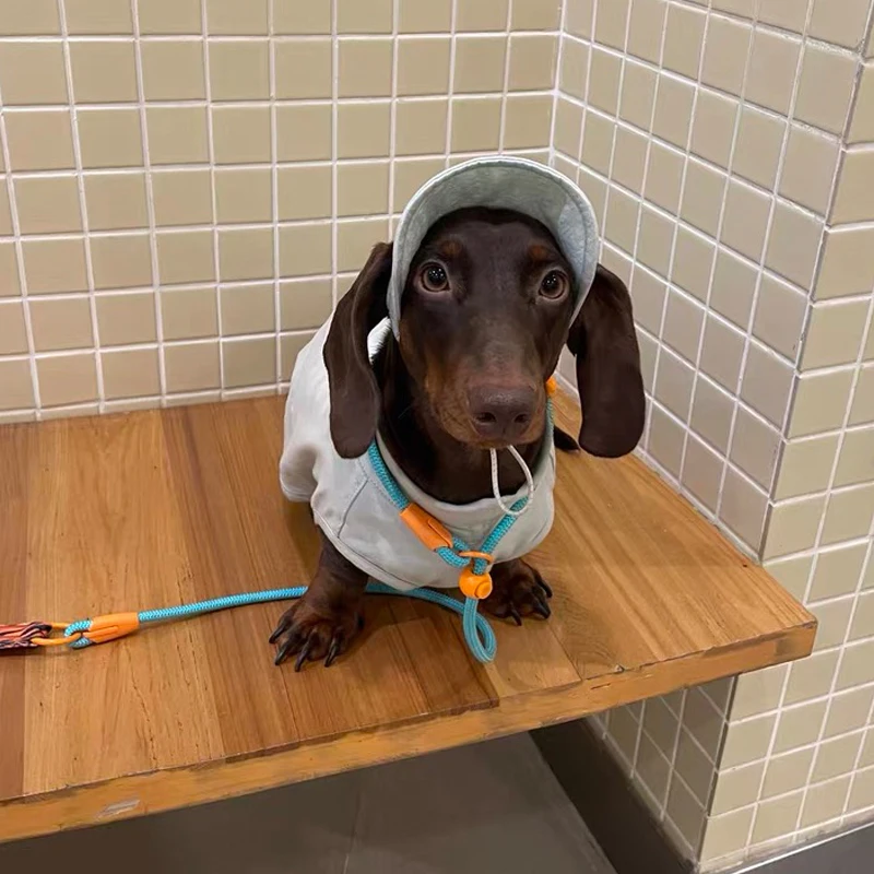 Camiseta de verano para perro Wiener, ropa, chaleco de manga corta gris suave para perro tejón, abrigo de tela fresco para perro salchicha en primavera