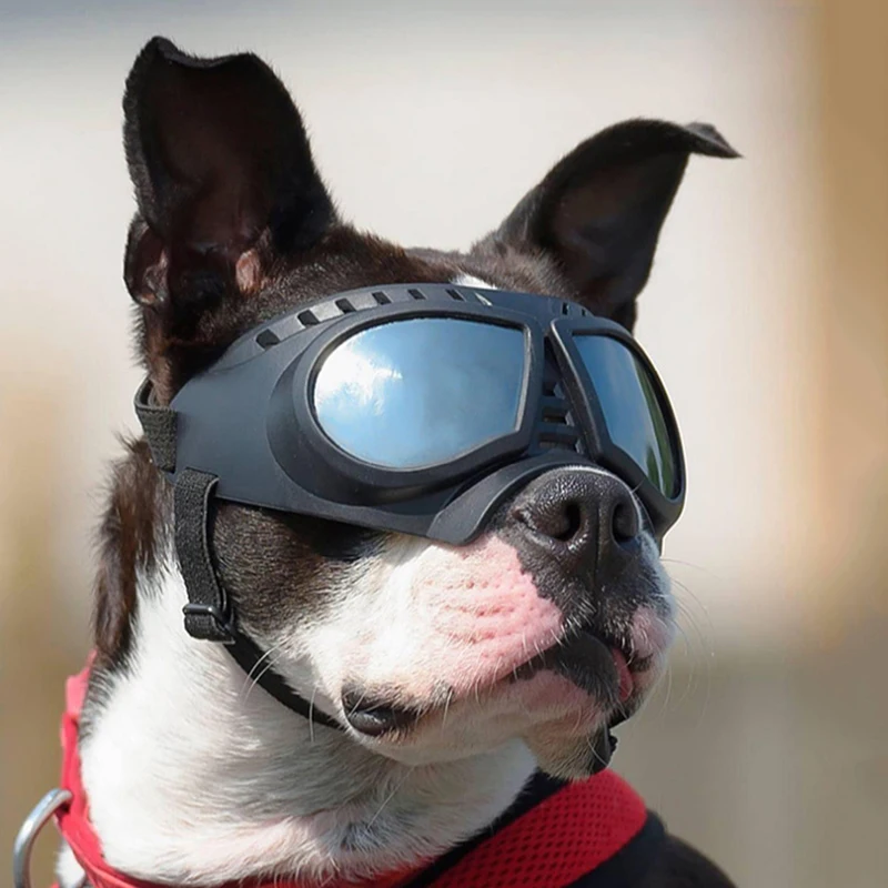 Gafas de sol ajustables para perros y mascotas, gafas de sol Anti-UV, gafas de protección para caniche, impermeables, a prueba de viento para máscara de perro, gafas de sol - imagen 2