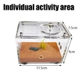 Activity area