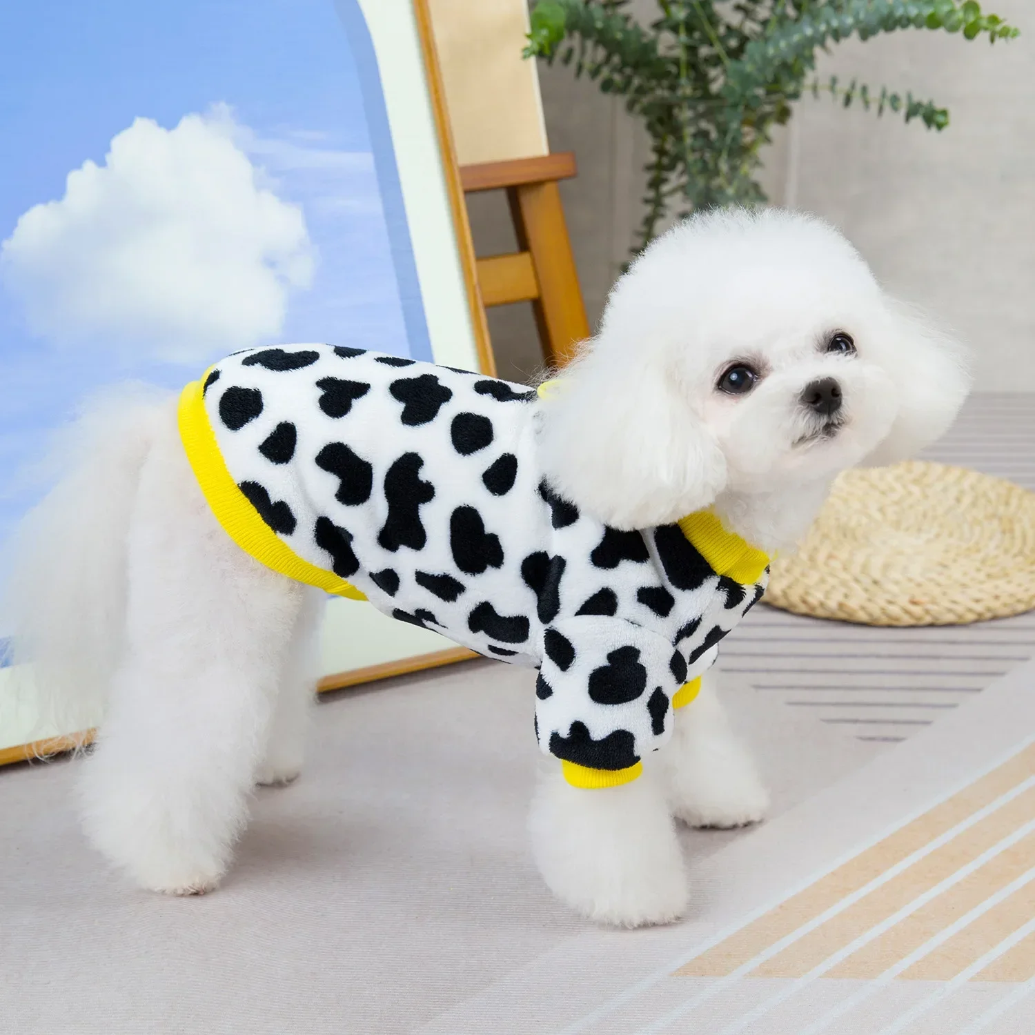 Ropa cálida de invierno para mascotas, chaqueta para perros pequeños y gatos, ropa de peluche para Chihuahua, disfraz de Bulldog Francés Shih Tzu, abrigos de Pug - imagen 5