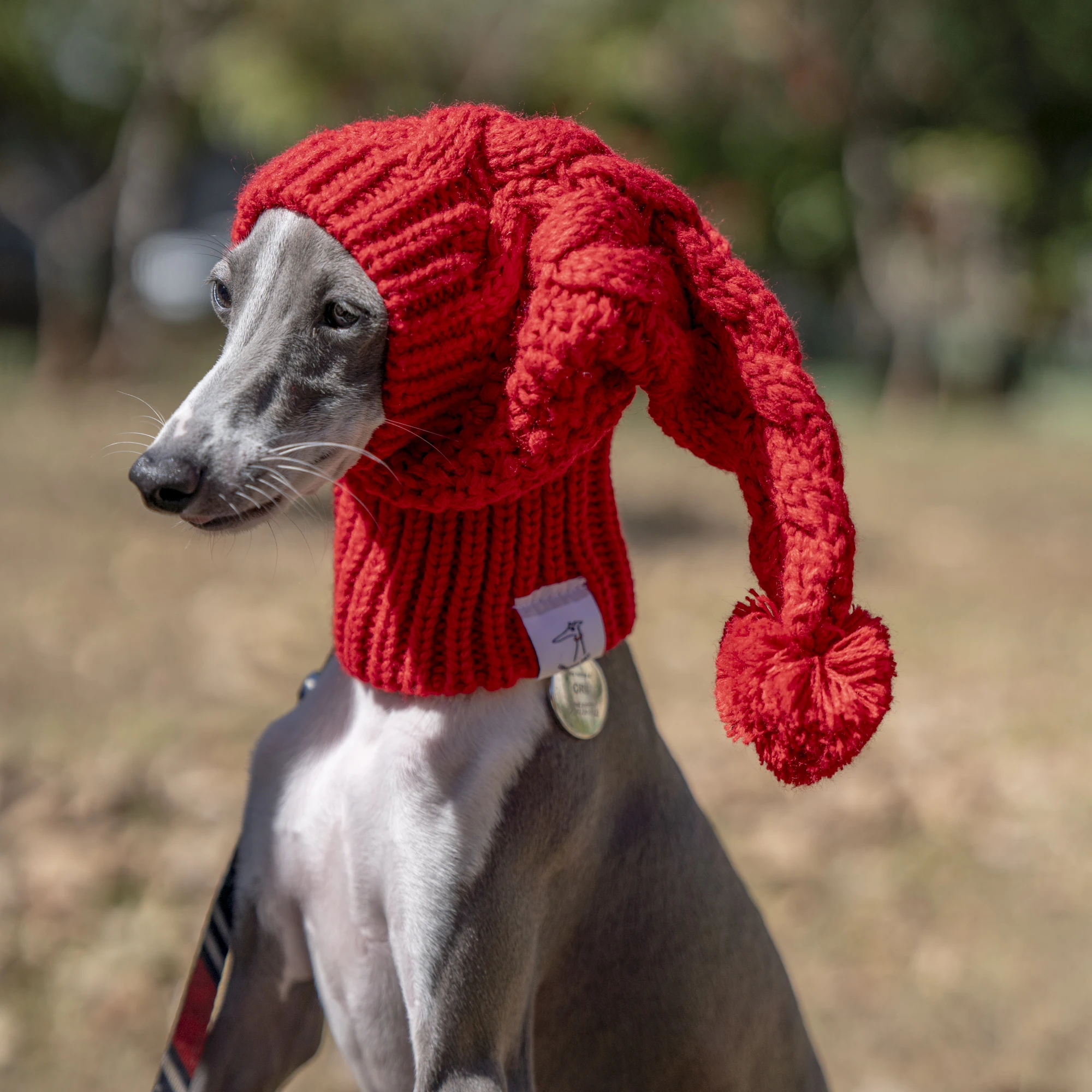 Whippet-Sombrero de lana rojo para mascota, Galgo Italiano, regalo de Navidad con bola de piel para perro, Invierno - imagen 4