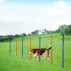 Equipo de agilidad para perros - kit portátil con saltos y estacas