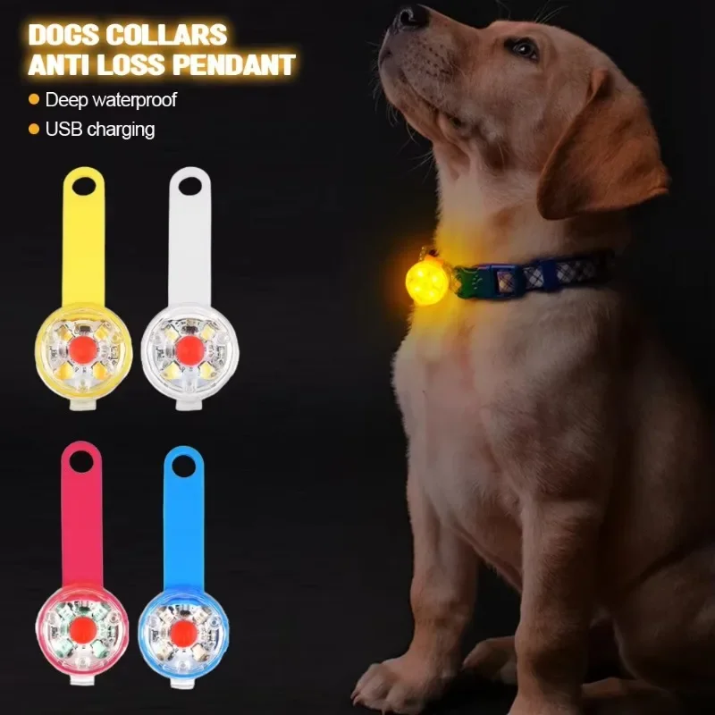 Collar de perro, collar de pérdida, luz de seguridad LED resistente a la intemperie, collar de luz LED recargable por USB, perro, gato, mascota - imagen 4