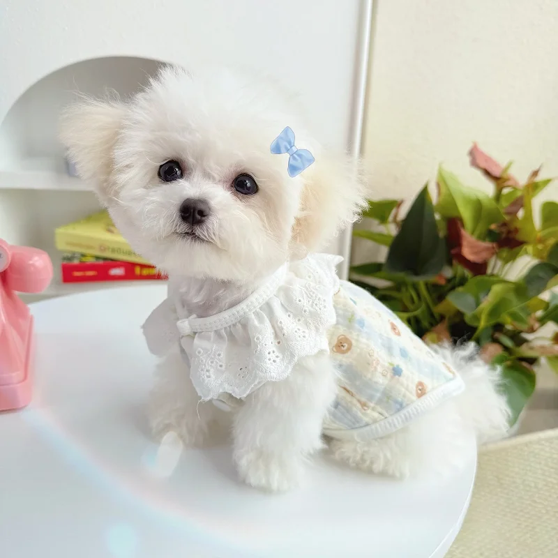 Falda Floral de encaje para mascotas, camiseta sin mangas fina de verano, abrigo con cuello de encaje a rayas, chaleco para perros y gatos, ropa transpirable para perros pequeños