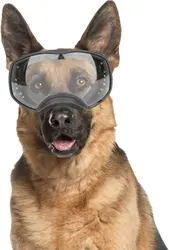 Gafas de sol deportivas para perros medianos y grandes – UV antiniebla