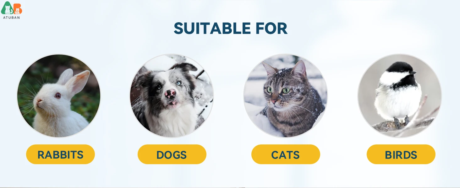 suggest for small animals