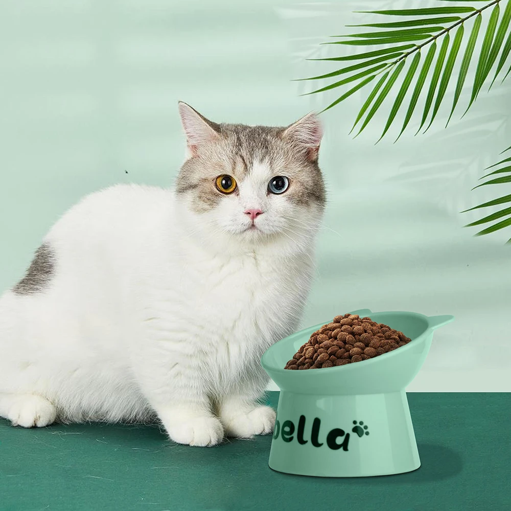 Cuenco personalizado para gatos, cuencos para gatos de pie alto, nombre impreso gratis, alimentador de comida para cachorros y gatitos, fuente para beber para mascotas con cuello de 15 grados, productos para mascotas - imagen 5