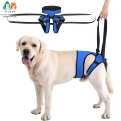 Arnés de soporte para patas traseras perro mayor lesionado