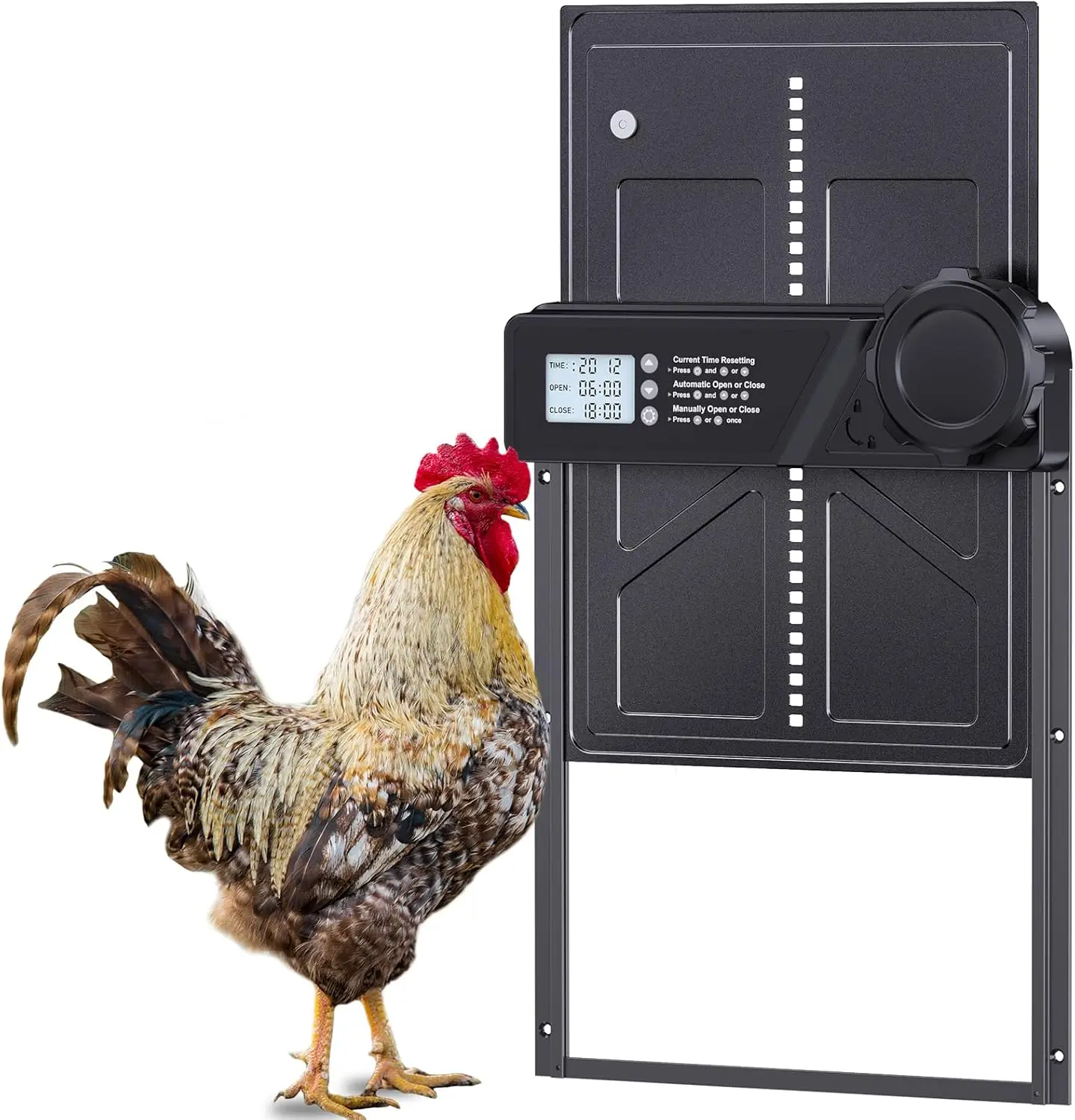 Puerta automática para gallinero con temporizador LCD - imagen 3