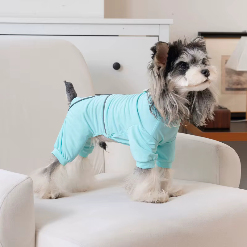 Traje reflectante ligero de verano para perro Chihuahua - imagen 2