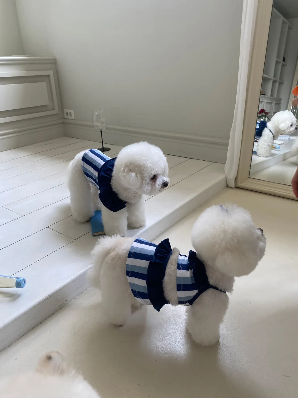 d1bcd8360cfed88bf1803ed1a191e0