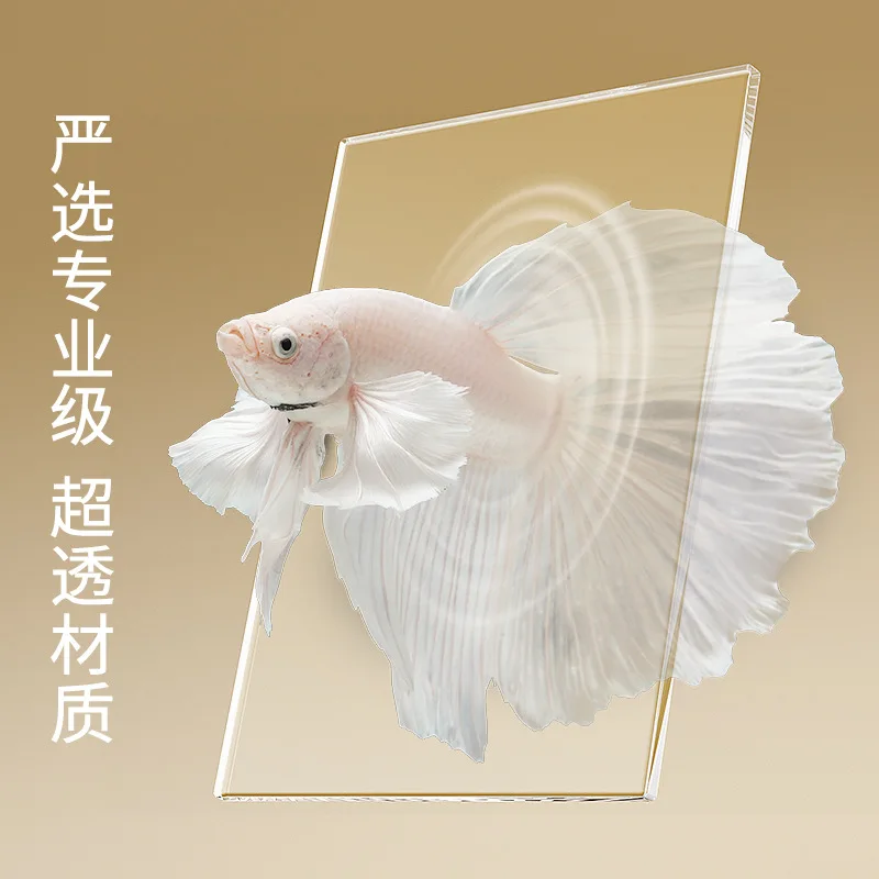 Acuario de escritorio con luz LED para pez betta, ecológico y creativo - imagen 5