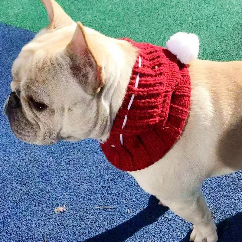 Gorro cálido de invierno para perro, gorro de Navidad para mascotas, accesorios para perros, sombrero de lana para cachorros con bola, sombreros para perros pequeños, Bulldog francés - imagen 5