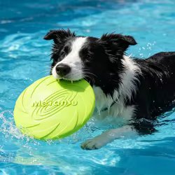Discos voladores goma suave para perros grandes – Resistente a mordidas