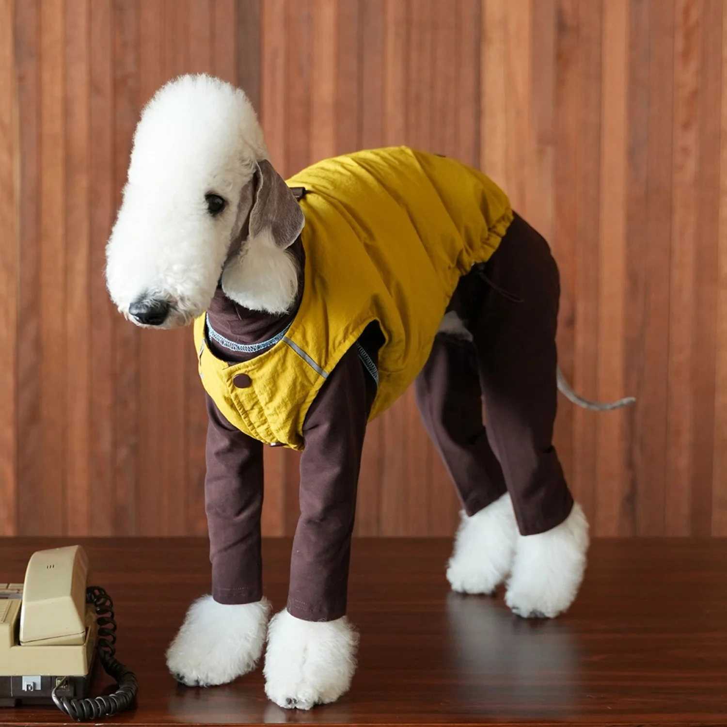 Abrigo de plumón de pato blanco en dos lados para usar en Bedlington en invierno Chaqueta impermeable amarilla gruesa con botones en la espalda para Whippet en clima frío - imagen 2