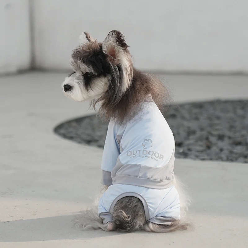 Ropa de verano para mascotas, chaqueta protectora solar, abrigo de cuatro patas de lujo Anti-UV para perros pequeños y grandes - imagen 5