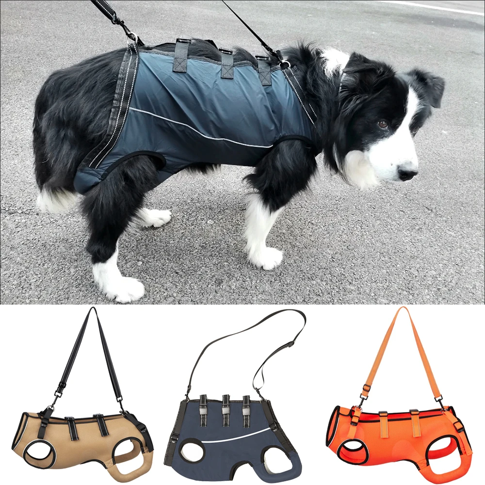 Útil para personas mayores discapacitadas, cinturón de asistencia para ejercicio, traje de rehabilitación para mascotas para perros, mascotas, ropa auxiliar