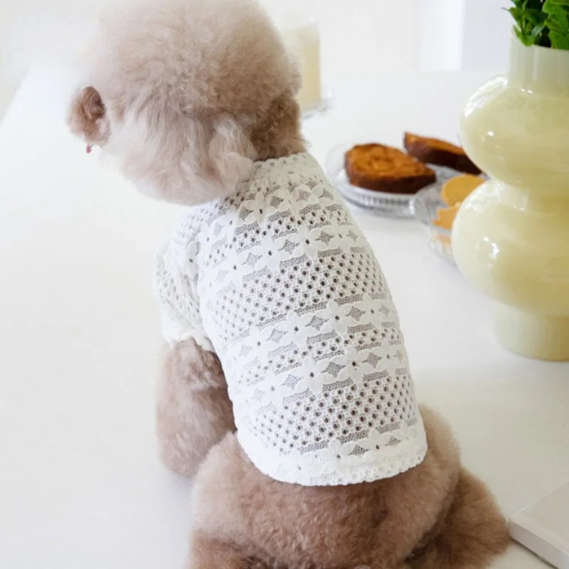 Ropa de encaje con forro de encaje para perros pequeños, camisa de diseño para cachorros, Invierno - imagen 4