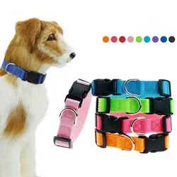 Collar ajustable para perro mediano - Resistente y fácil de poner