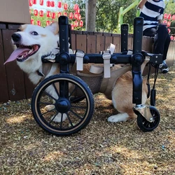 Silla de ruedas para perro de rehabilitación patas traseras ajustable