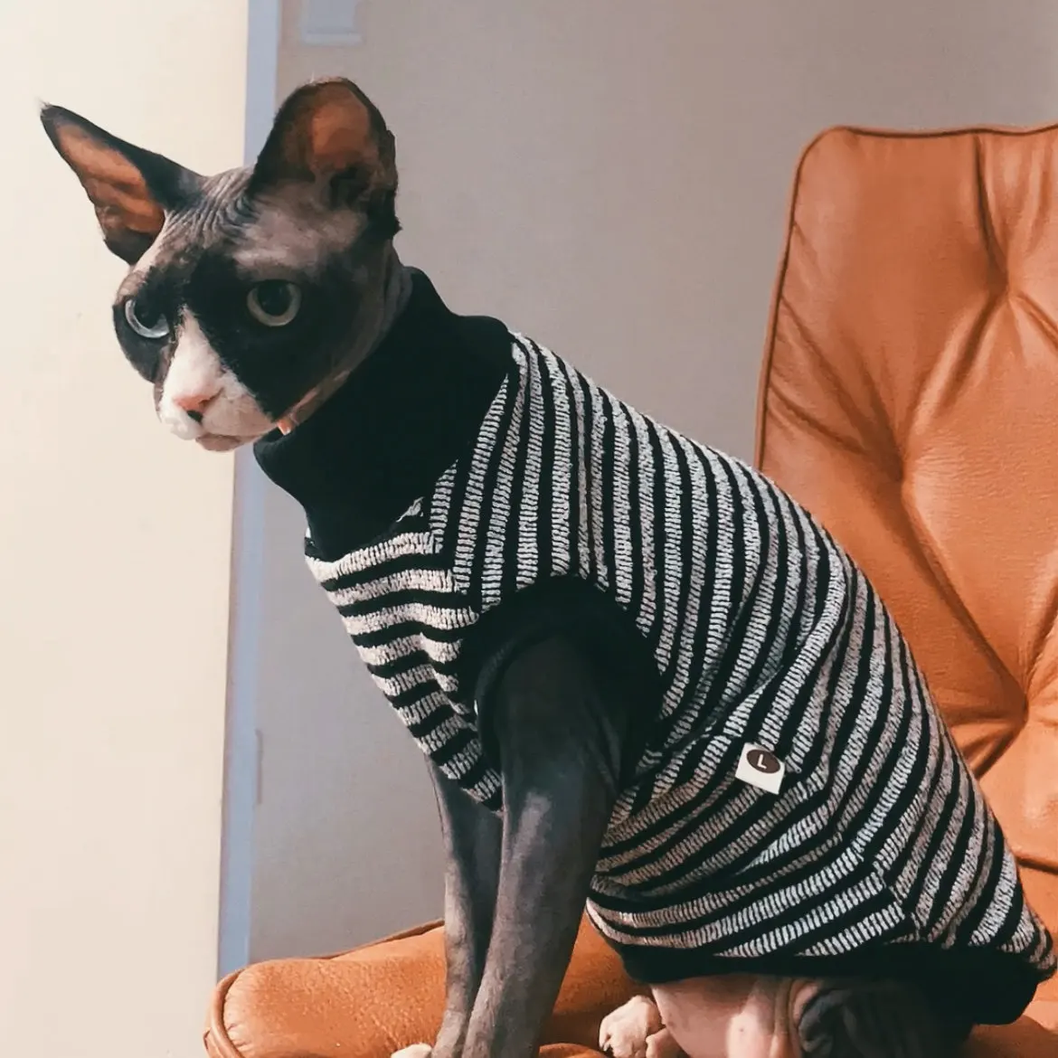 Suéter de rayas para gato Sphynx y Devon Rex – Jersey de interior - imagen 2