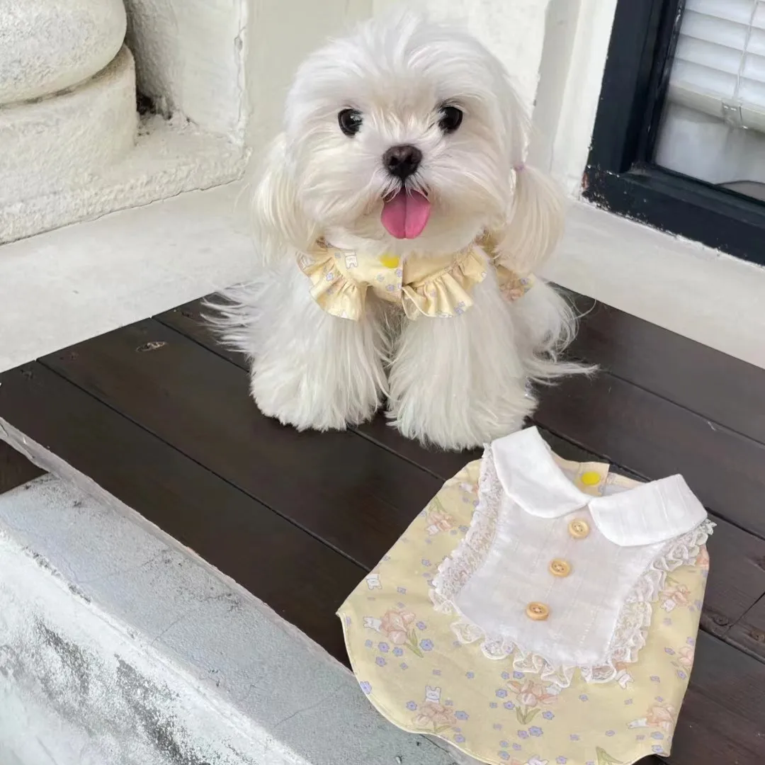 Chaleco Floral de primavera para mascotas, falda de princesa para perros y gatos, oso Yorkshire Schnauzer, ropa para perros pequeños/gatos, falda fina de primavera - imagen 2