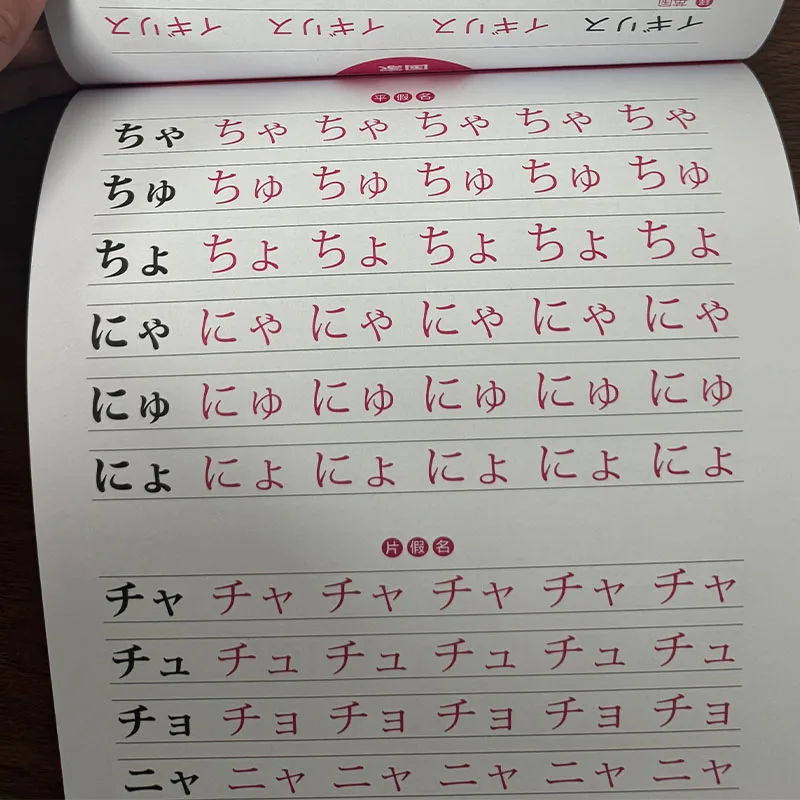 Cuaderno de Caligrafía Japonesa Estándar - 50 Sonidos, 230 Palabras - imagen 2