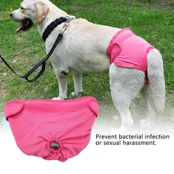 Pañales lavables de algodón para perro – Reutilizables y absorbentes