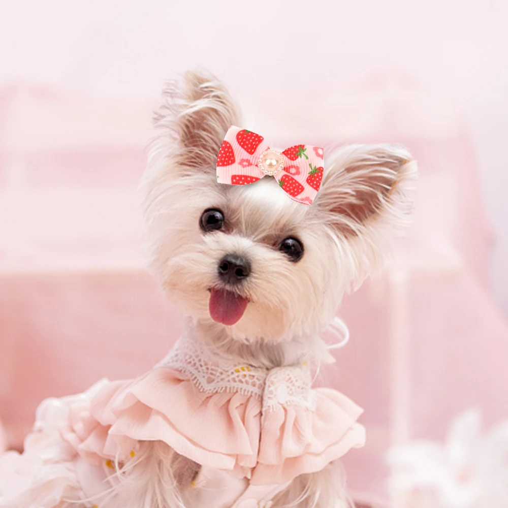 Lazos para el pelo de perro con bandas de goma, accesorios para el pelo de mascotas, para el cuidado de Halloween, para cachorros, gatitos y Chihuahua, lote de 10 unidades - imagen 3