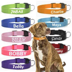 Collar de nylon personalizado para perro con nombre y teléfono